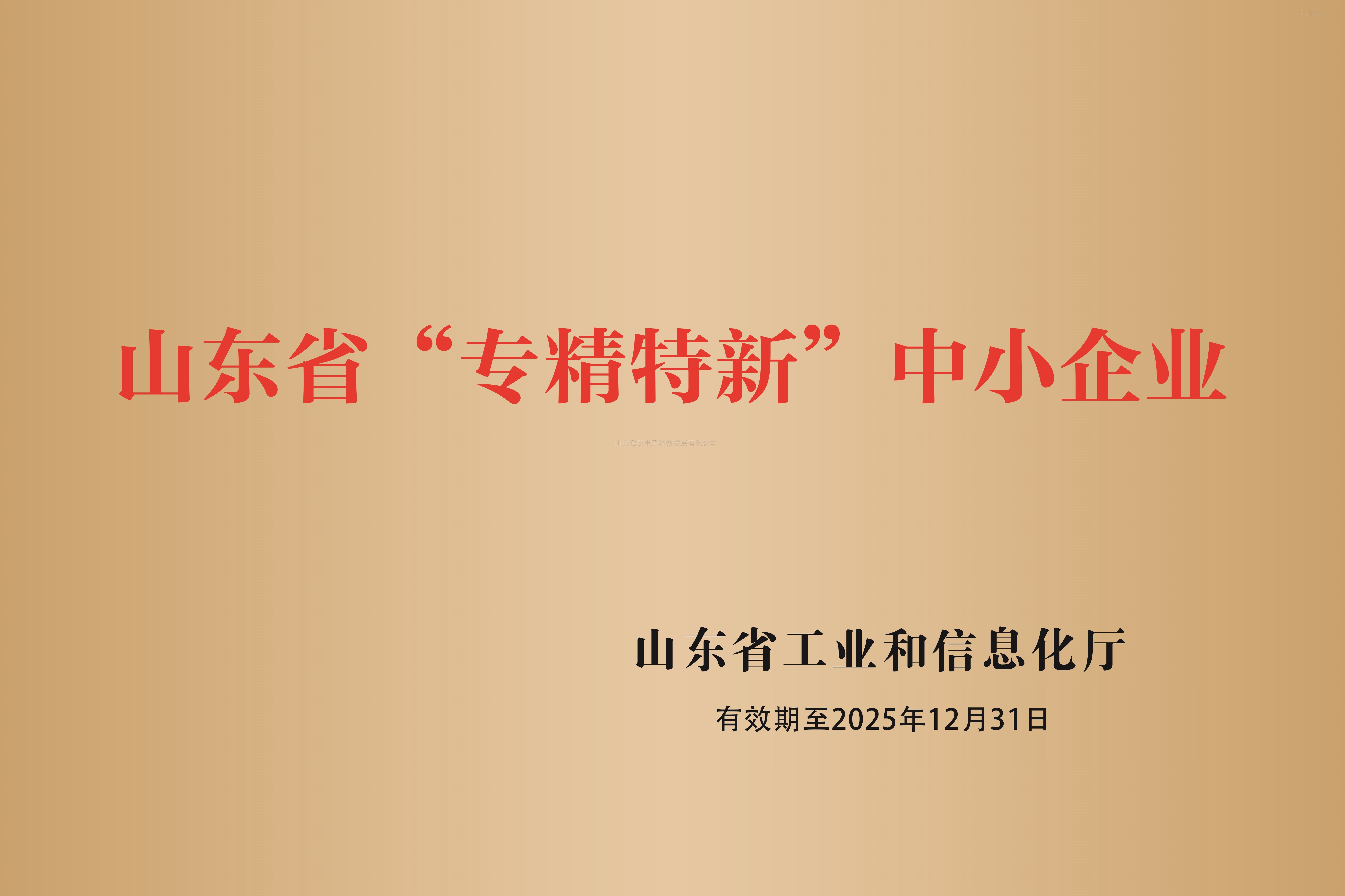 山東省專精特新