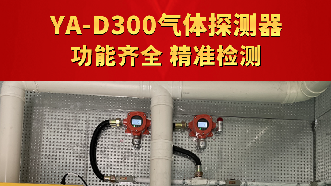 YA-D300氣體探測器 功能齊全 精準檢測